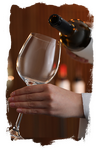 Дегустация вин в винотеке «Chateau Verdens»