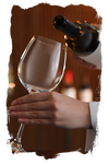 Wine tasting at the Chateau Verdens wine cellar